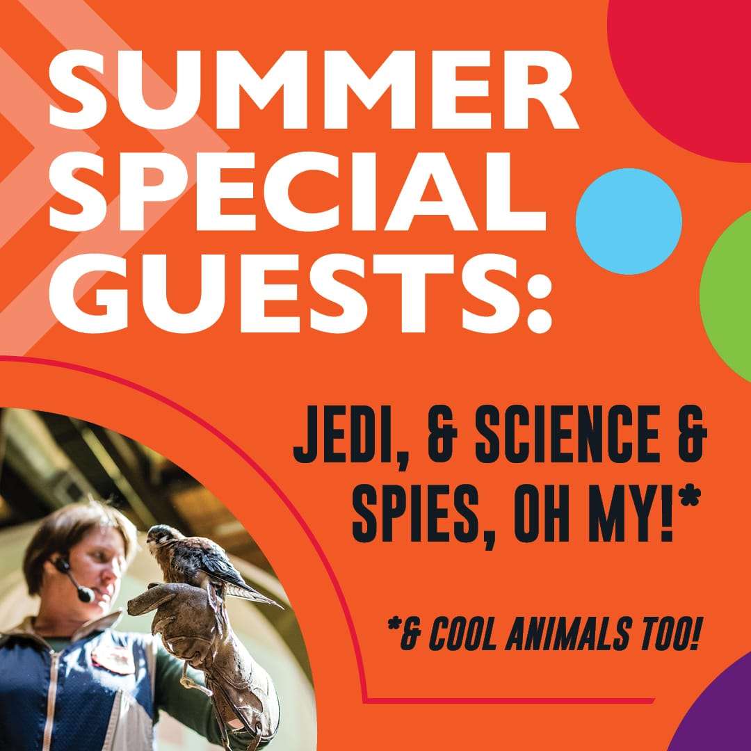 Summer Special Guests: Chemistry Showcase with Leanne Racicot