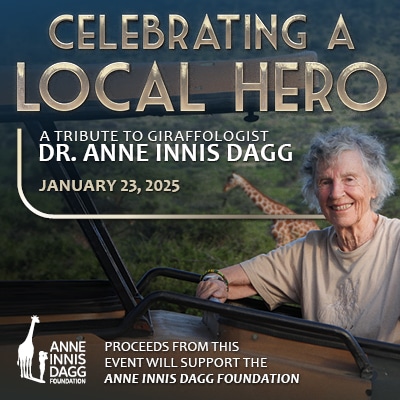 Celebrating a Local Hero: A Tribute to Giraffologist Dr. Anne Innis Dagg